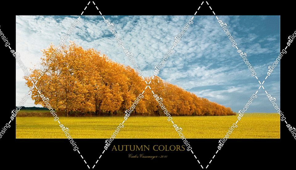 Autumn Colors 1