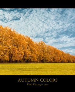 Autumn Colors 1