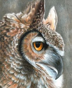 Sepia Owl