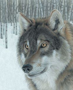 Wolf in Aspens