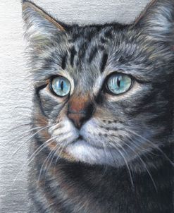 Cat Portrait