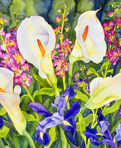 Callas with Irises