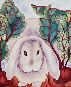 Bunny with Beets