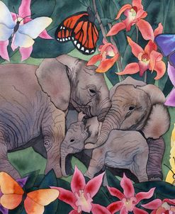 Elephants and Butterflies