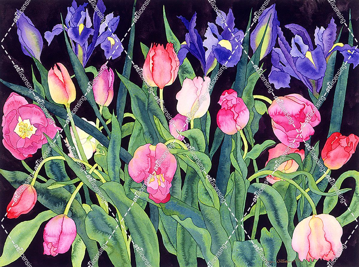 Tulips And Irises