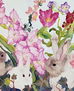 Three Bunnies