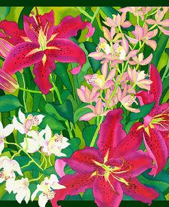 Lily Love – Square