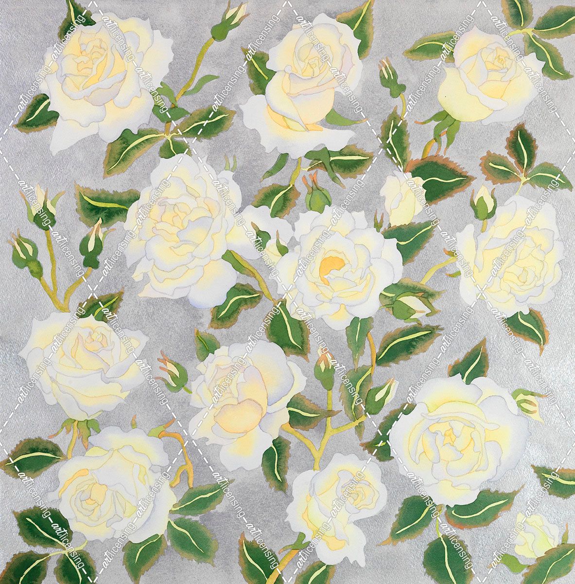 White Roses- Square