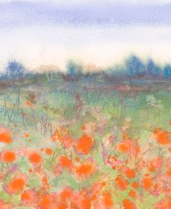 Poppy Meadow