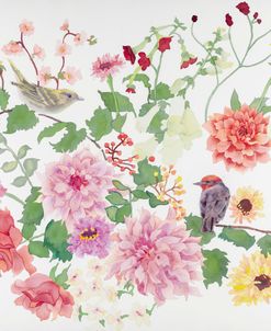 Songbirds With Dhalias