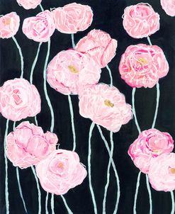 Pink Poppies