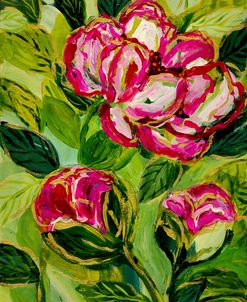 Peony Dance