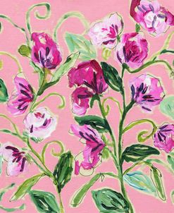Sweet Peas are Made of These