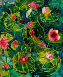 Lost In The Lilypads
