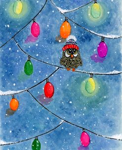 Wintry And Bright