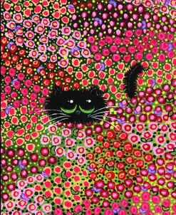 Peek A Boo In The Petals