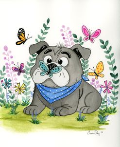 Butterbeans Butterfly Adv