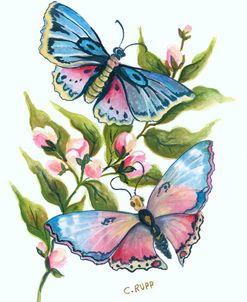 Butterfly in Pink and Blue