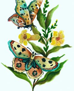 Butterfly on Yellow Floral