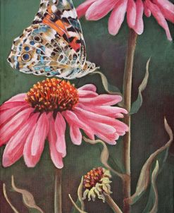 Coneflower with Butterfly