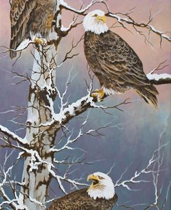 Eagle Trio at Dawn