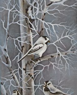 Chickadee Quartet