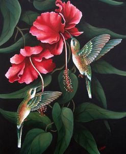 Hummingbird  Duet