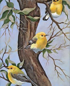 Little Yellow Birds