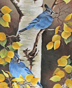 Stellar Jay with Leaves of Gold