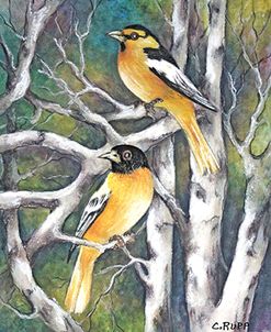 Yellow Birds