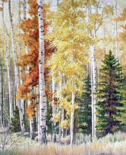 Angel Fire Aspens