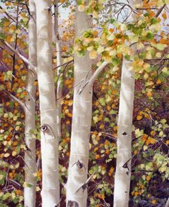 Aspen Quartet