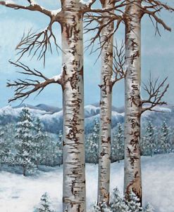 Aspen Trio Winter