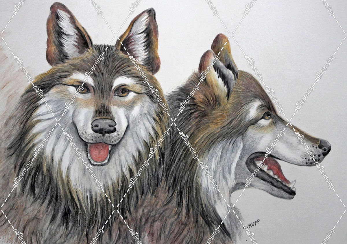 Mexican Wolves