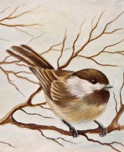 Chickadee Trio 4