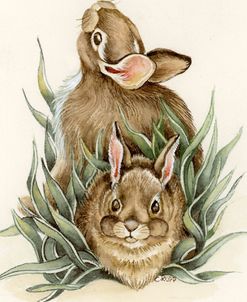 Bunny Pals