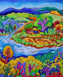 Luminous Abundance