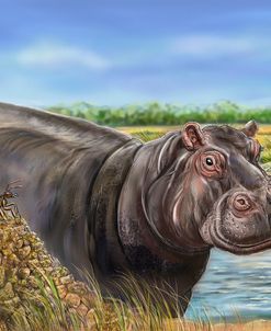Animalogy Ant Hippo Spread Cover