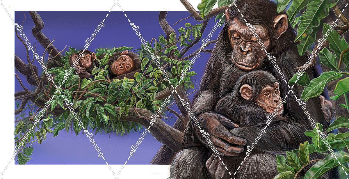 Baby On Board Spread 16 Chimpanzee