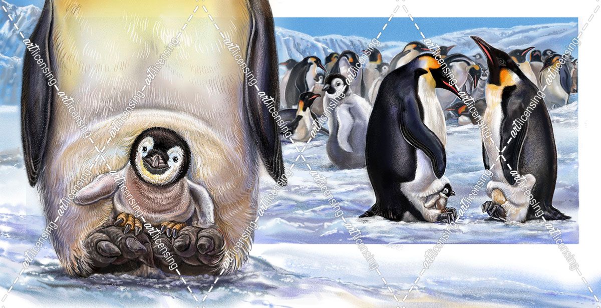 Baby On Board Spread 22 Penguins