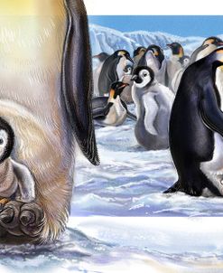 Baby On Board Spread 22 Penguins