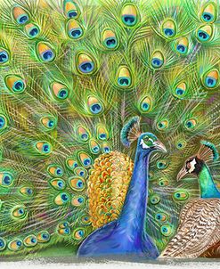Tailstalk Page 16 And 17 Peacock A