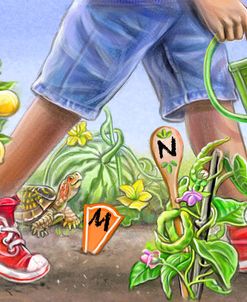 Walk Through My Garden