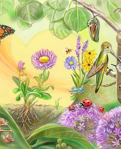 Pollination Creation