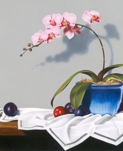Plums And Orchids