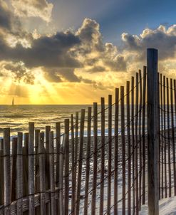 Dune Fence