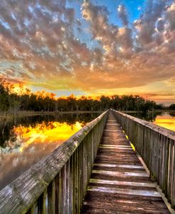 Grassy Waters Evening