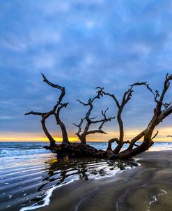 Jekyll Island Seascape