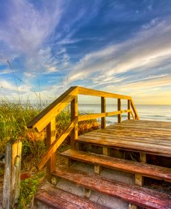 Morning Beach Walk