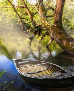 Morning Mists